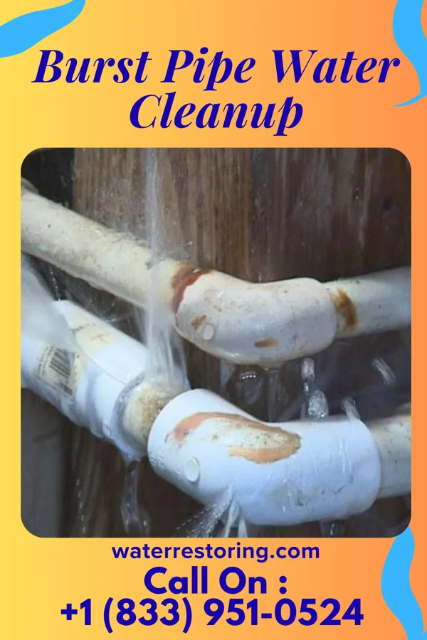 Burst Pipe Water Cleanup in Spillertown, IL