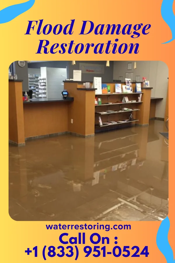 Flood Damage Restoration in Spillertown, IL