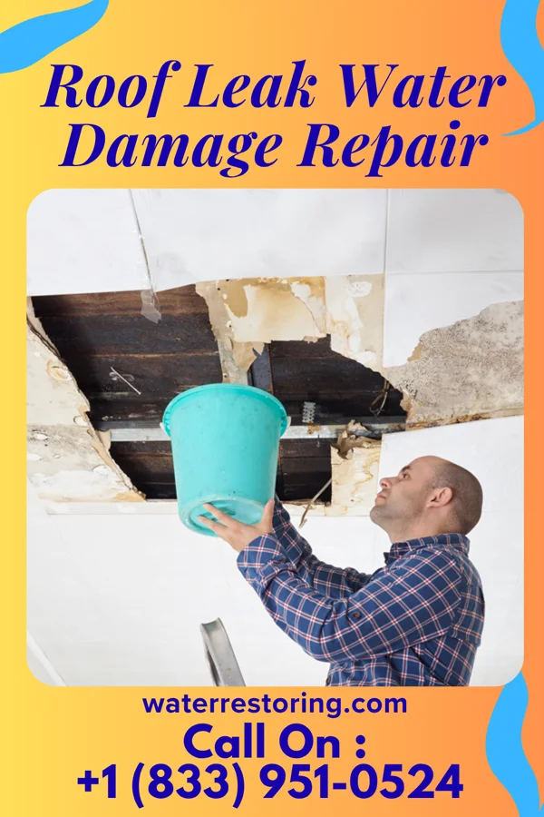 Roof Leak Water Damage Repair in Spillertown, IL