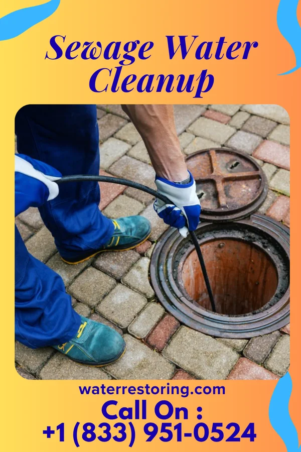 Sewage Water Cleanup in Spillertown, IL